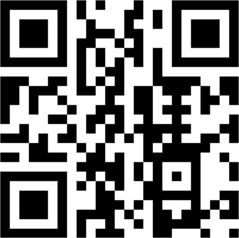 QR Code du site